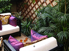 陽(yáng)臺(tái)綠化A