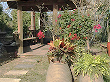 組合花卉景觀(guān)D